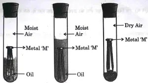 Q28-CBSE-Class-10-Science-Question-Paper-Solution-2025-Set-1